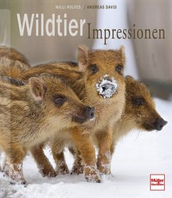 Wildtier-Impressionen - Rolfes, Willi; David, Andreas