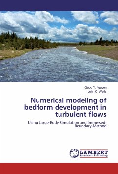 Numerical modeling of bedform development in turbulent flows