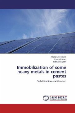 Immobilization of some heavy metals in cement pastes - Mohamed, Maha;Kishar, Essam;Hegazy, Wafaa