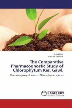 The Comparative Pharmacognostic Study of Chlorophytum Ker. Gawl.