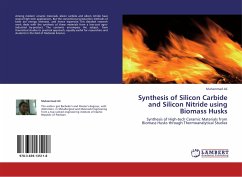Synthesis of Silicon Carbide and Silicon Nitride using Biomass Husks