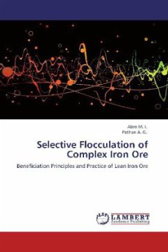 Selective Flocculation of Complex Iron Ore - Abro, M. I.;Pathan, A. G.