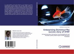 Enterprising Dominica!The success story of DYBT