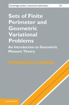 Sets of Finite Perimeter and Geometric Variational Problems - Maggi, Francesco (Universita degli Studi di Firenze, Italy)