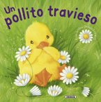 Un pollito travieso