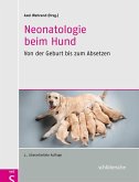 Neonatologie beim Hund
