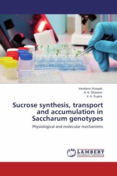 Sucrose synthesis, transport and accumulation in Saccharum genotypes - Vinayak, Vandana;Dhawan, A. K.;Gupta, V. K.