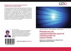 Plataforma de experimentación para la clasificación no supervisada - Cabrera, José Felix;Villuendas, Yenny;Olivares, Yuniel