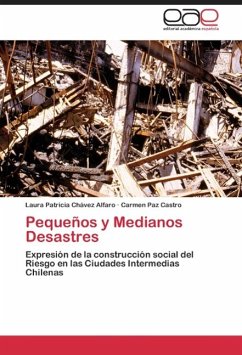 Pequeños y Medianos Desastres - Chávez Alfaro, Laura Patricia;Castro, Carmen Paz