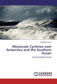 Mesoscale Cyclones over Antarctica and the Southern Ocean - D'Amico, Michelle