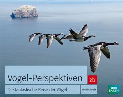 Cover Vogel-Perspektiven