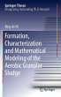 Formation, characterization and... - Bild 1