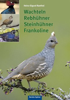 Wachteln, Rebhühner, Steinhühner, Frankoline - Raethel, Heinz-Sigurd
