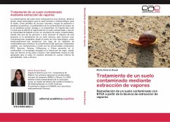 Tratamiento de un suelo contaminado mediante extracción de vapores - Álvarez Bauzá, Marta
