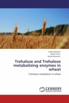 Trehalose and Trehalose metabolizing enzymes in wheat - Elbashiti, Tarek;Yucel, Meral;Hamamci, Haluk