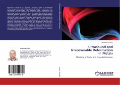 Ultrasound and Irrecoverable Deformation in Metals - Rusinko, Andrew