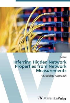 Inferring Hidden Network Properties from Network Measurements
