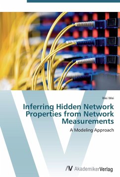 Inferring Hidden Network Properties from Network Measurements - Wei, Wei