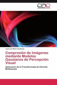 Compresión de Imágenes mediante Modelos Gausianos de Percepción Visual - Silván Cárdenas, José Luis