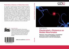 Plasticidad y Dinámica en Redes Neuronales - Rossi Pool, Román