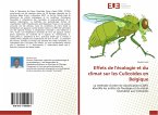 Effets de l'écologie et du climat sur les Culicoïdes en Belgique