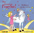 Die Reise zu den Sternenelfen / Hier kommt Ponyfee! Bd.20 (1 Audio-CD)