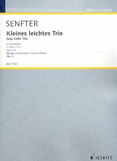 Cover Kleines leichtes Trio