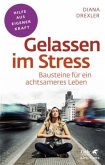 Gelassen im Stress (Fachratgeber Klett-Cotta, Bd. ?)