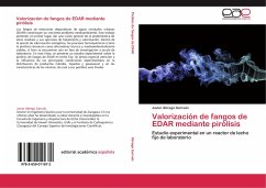 Valorización de fangos de EDAR mediante pirólisis - Ábrego Garrués, Javier