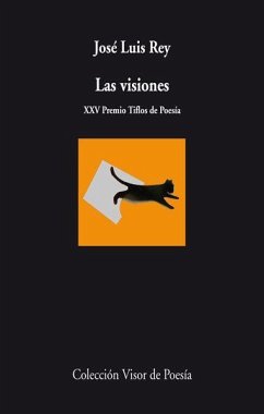 Las visiones - Rey Cano, José Luis