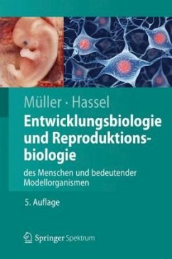 Entwicklungsbiologie und Reproduktionsbiologie des Menschen und bedeutender Modellorganismen - Müller, Werner A.; Hassel, Monika