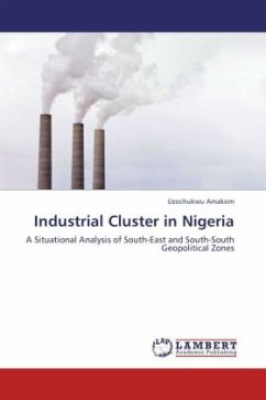 Industrial Cluster in Nigeria - Amakom, Uzochukwu