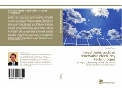 Investment costs of renewable electricity technologies - Panzer, Christian