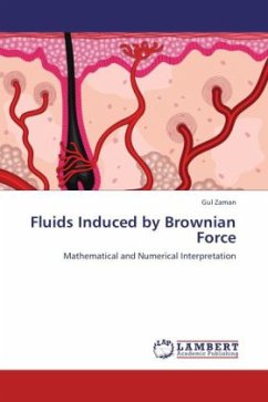 Fluids Induced by Brownian Force