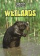 Wetlands - Bild 1