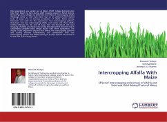 Intercropping Alfalfa With Maize - Tesfaye, Bizuwork;Belete, Ketema;Sharma, Janmejai