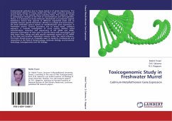 Toxicogenomic Study in Freshwater Murrel - Tiwari, Mohit;Saksena, D. N.;Nagpure, N. S.