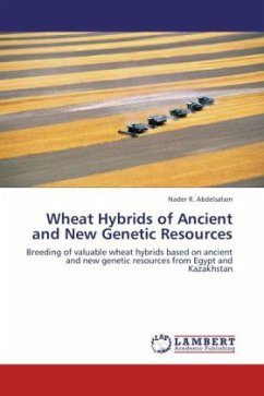Wheat Hybrids of Ancient and New Genetic Resources