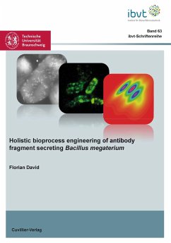 Holistic bioprocess engineering of antibody fragment secreting Bacillus megaterium - David, Florian