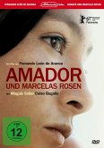 Amador und Marcelas Rosen