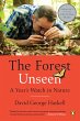 The Forest Unseen - Bild 1
