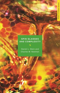 Spin Glasses and Complexity - Stein, Daniel L.; Newman, Charles M.