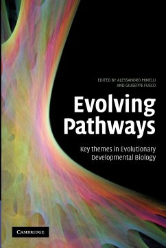 Evolving Pathways - Fusco, Giuseppe
