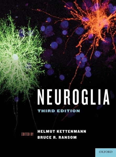 Neuroglia (Revised)