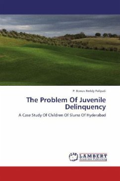 The Problem Of Juvenile Delinquency