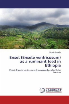 Enset (Ensete ventricosum) as a ruminant feed in Ethiopia - Fekadu, Dereje