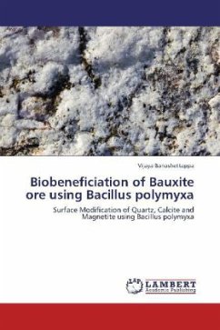 Biobeneficiation of Bauxite ore using Bacillus polymyxa