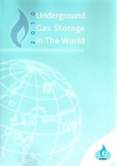 Underground Gas Storage in the World - Benquey, Romain