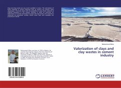 Valorization of clays and clay wastes in cement industry