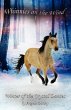 Winter of the Crystal Dances - Bild 1